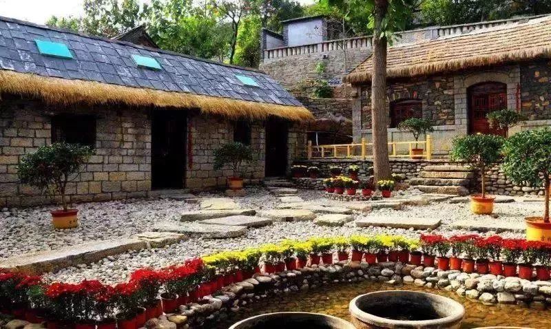 淄川有没有富硒有机蔬菜（富硒蔬菜价格比普通蔬菜）-硒宝网