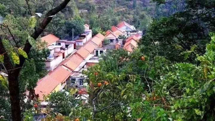 淄川有没有富硒有机蔬菜（富硒蔬菜价格比普通蔬菜）-硒宝网