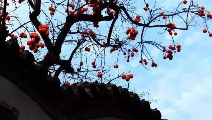 淄川有没有富硒有机蔬菜（富硒蔬菜价格比普通蔬菜）-硒宝网