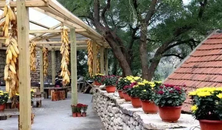 淄川有没有富硒有机蔬菜（富硒蔬菜价格比普通蔬菜）-硒宝网