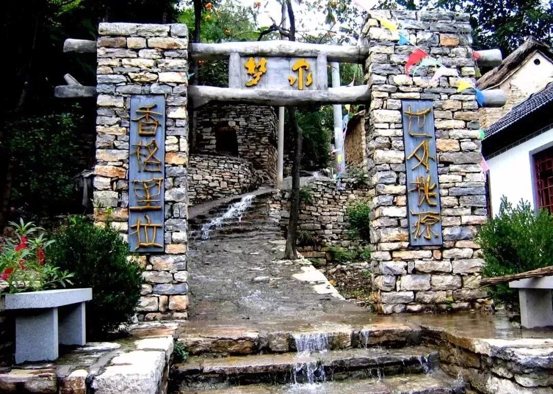 淄川有没有富硒有机蔬菜（富硒蔬菜价格比普通蔬菜）-硒宝网