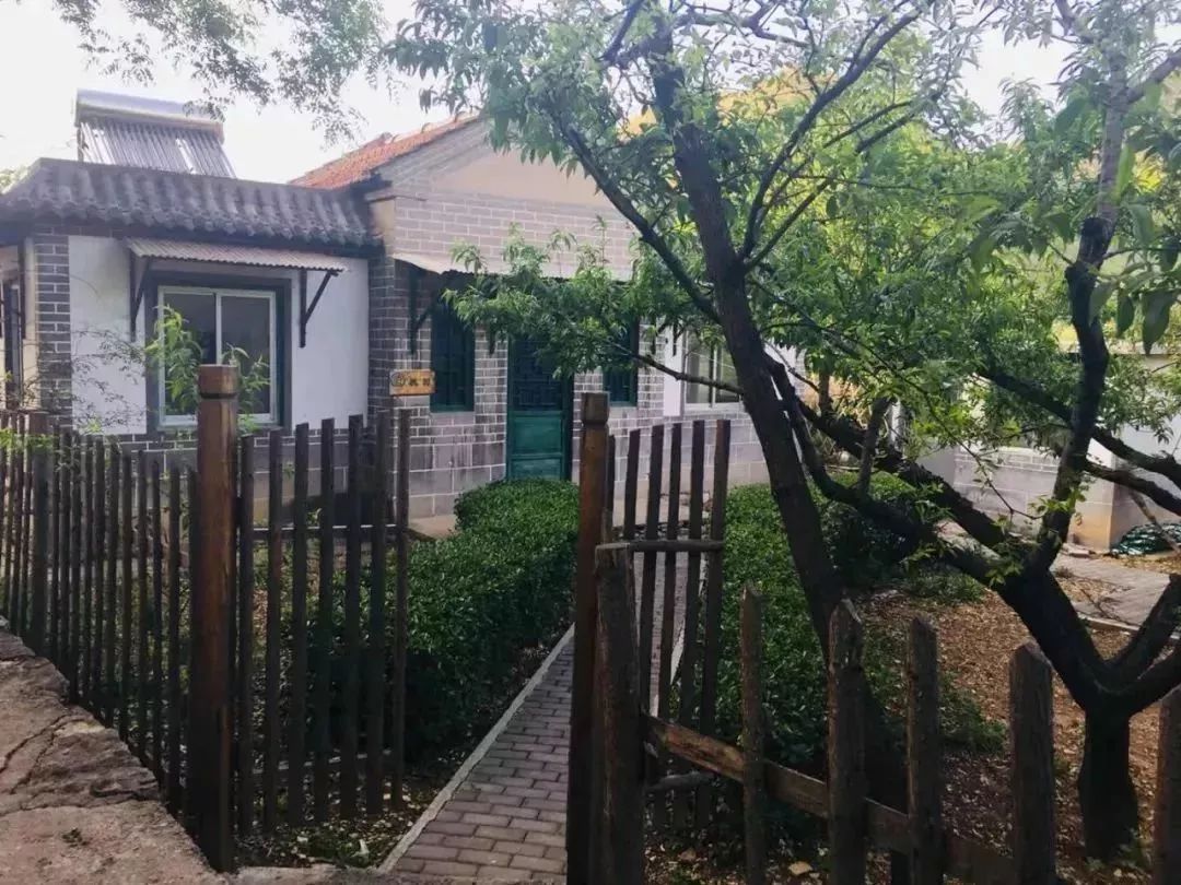 淄川有没有富硒有机蔬菜（富硒蔬菜价格比普通蔬菜）-硒宝网