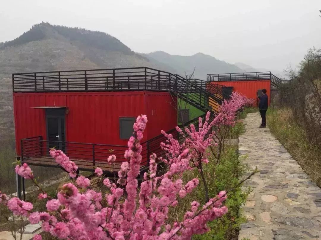 淄川有没有富硒有机蔬菜（富硒蔬菜价格比普通蔬菜）-硒宝网