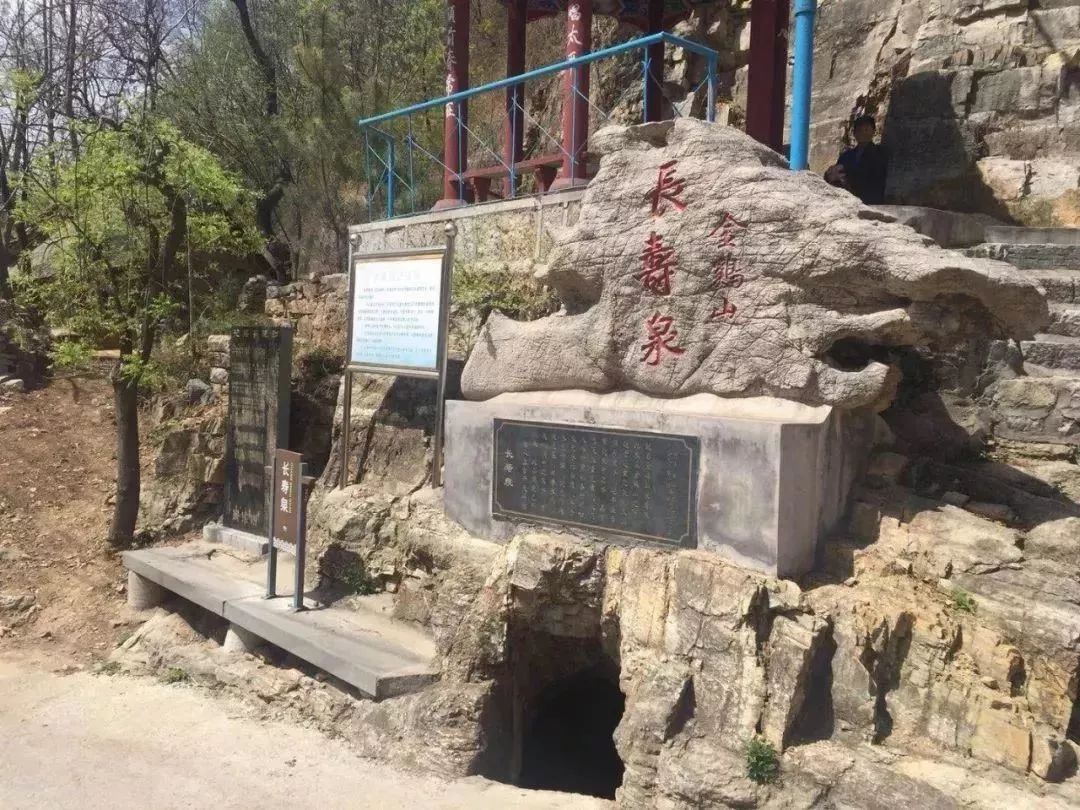 淄川有没有富硒有机蔬菜（富硒蔬菜价格比普通蔬菜）-硒宝网