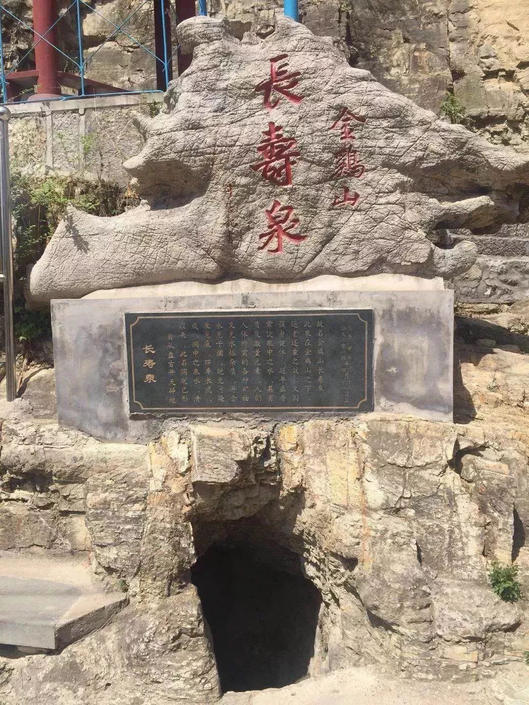 淄川有没有富硒有机蔬菜（富硒蔬菜价格比普通蔬菜）-硒宝网