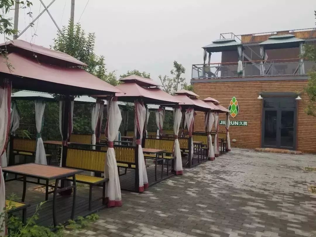 淄川有没有富硒有机蔬菜（富硒蔬菜价格比普通蔬菜）-硒宝网