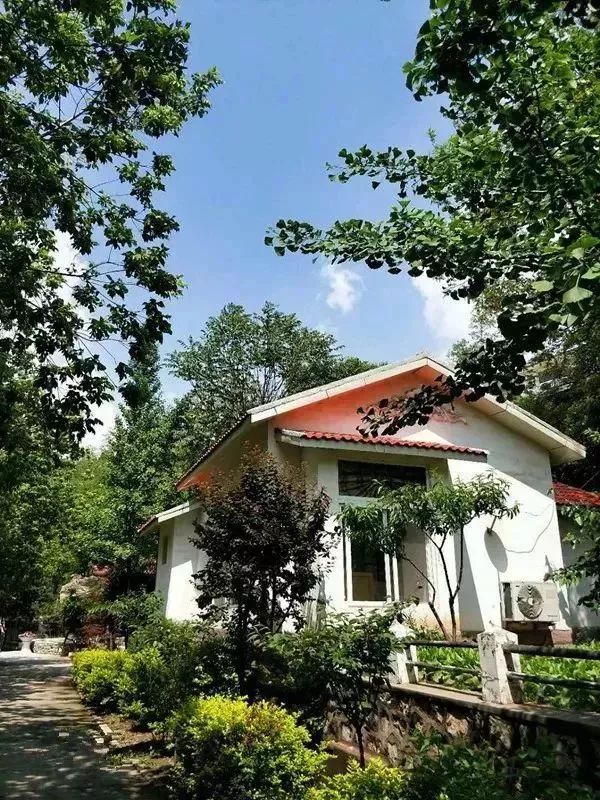 淄川有没有富硒有机蔬菜（富硒蔬菜价格比普通蔬菜）-硒宝网