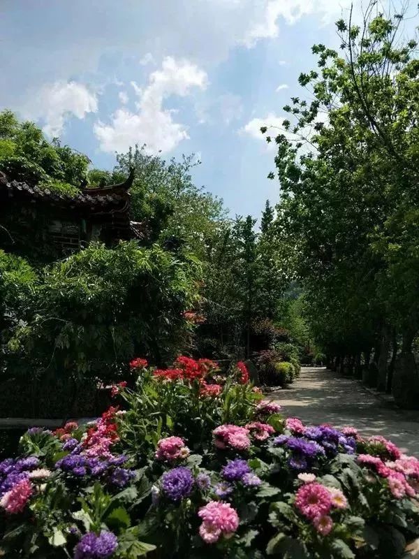 淄川有没有富硒有机蔬菜（富硒蔬菜价格比普通蔬菜）-硒宝网