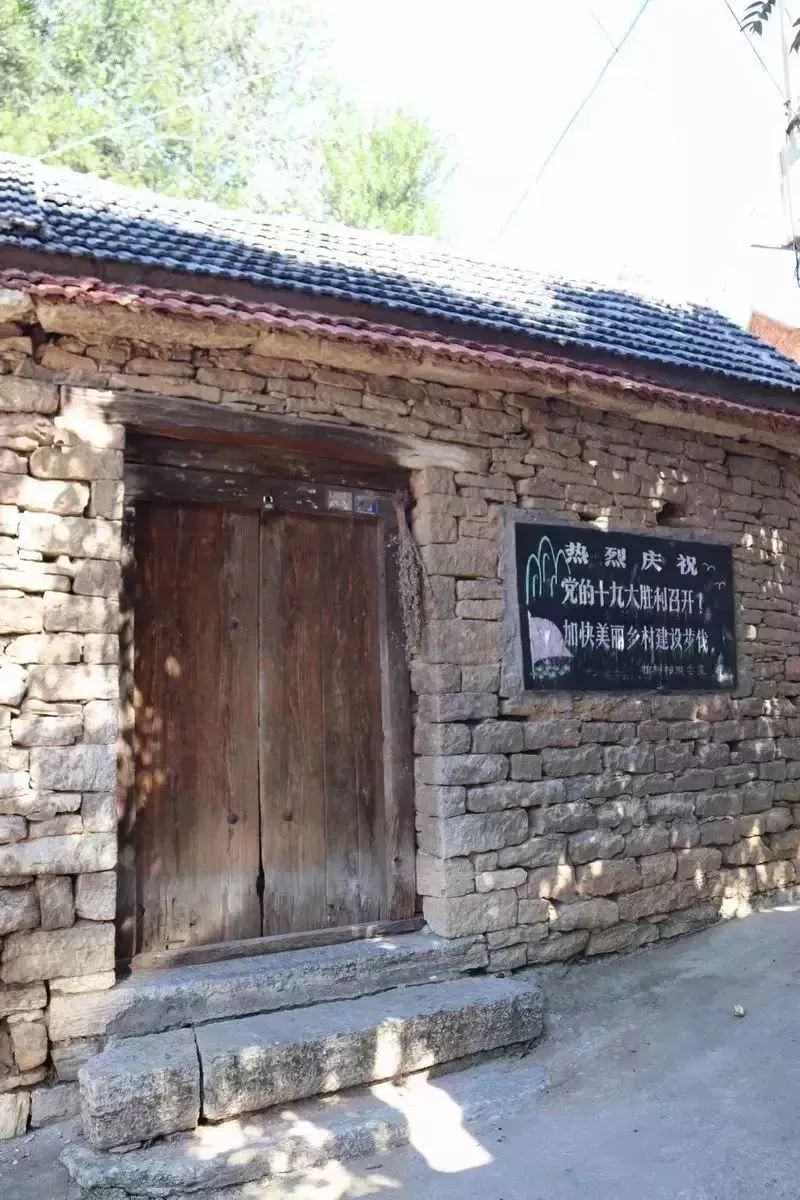 淄川有没有富硒有机蔬菜（富硒蔬菜价格比普通蔬菜）-硒宝网