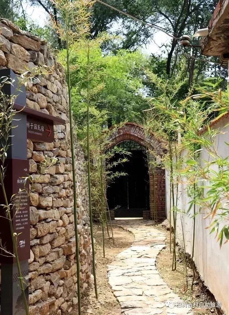 淄川有没有富硒有机蔬菜（富硒蔬菜价格比普通蔬菜）-硒宝网