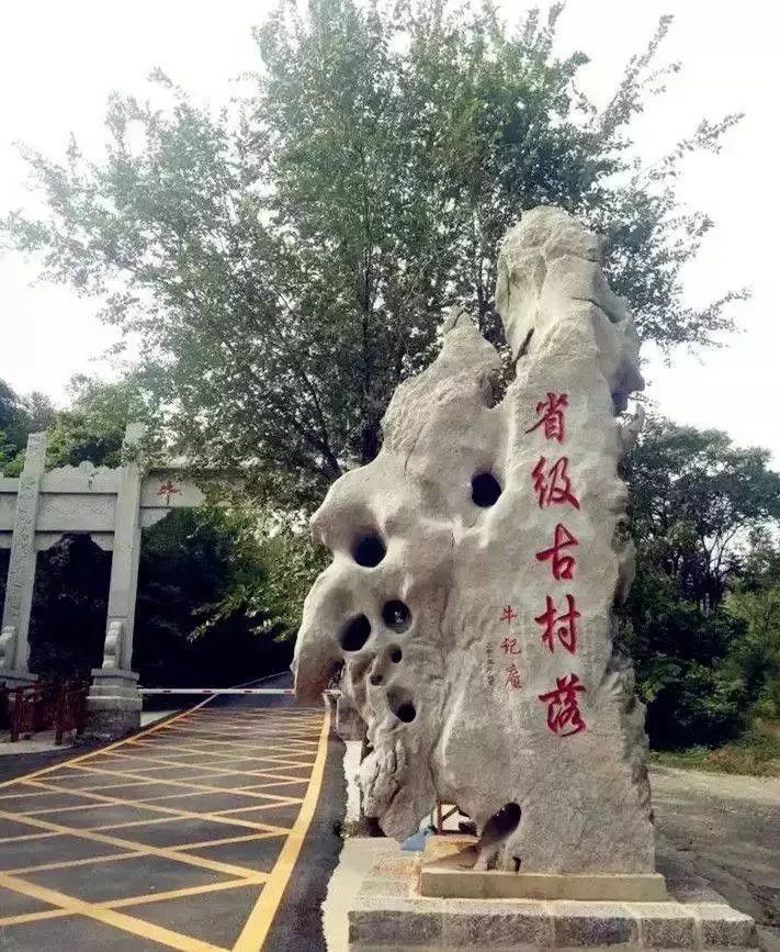 淄川有没有富硒有机蔬菜（富硒蔬菜价格比普通蔬菜）-硒宝网