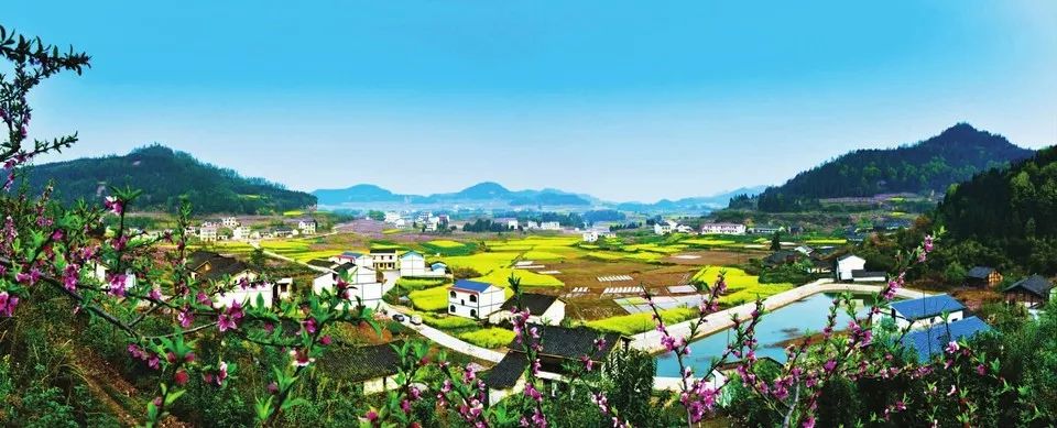 怎么让蔬菜富硒检测达标（富硒蔬菜含硒标准）-硒宝网