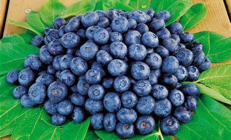 儿童富硒蔬菜有哪些品种(富硒的蔬菜)-硒宝网