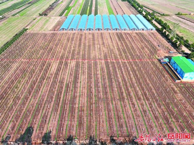 赣州富硒大棚蔬菜有哪些(万亩富硒蔬菜基地)-硒宝网