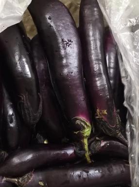 富硒蔬菜的监测指标包括（监测蔬菜指标富硒包括哪些）-硒宝网