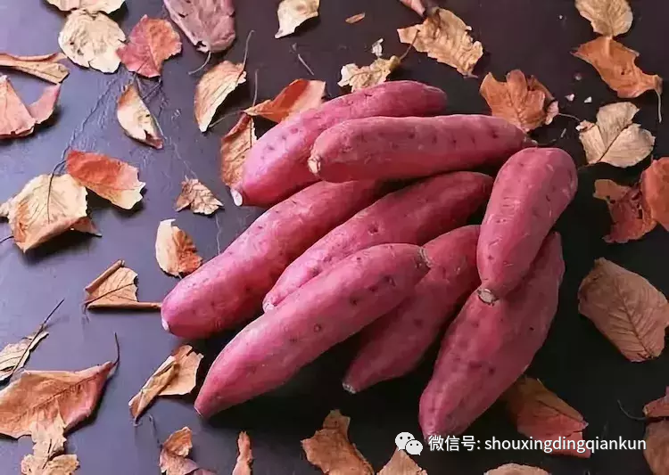 如何让人们买富硒蔬菜吃（蔬菜买吃富硒人们让吃吗）-硒宝网