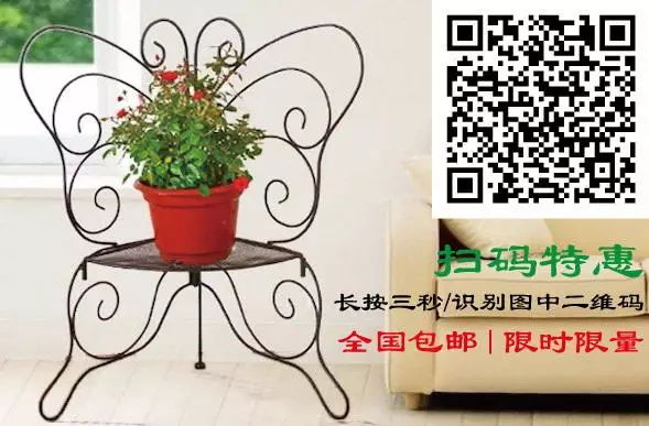 阳台如何种植富硒蔬菜呢（富硒蔬菜种植技术）-硒宝网