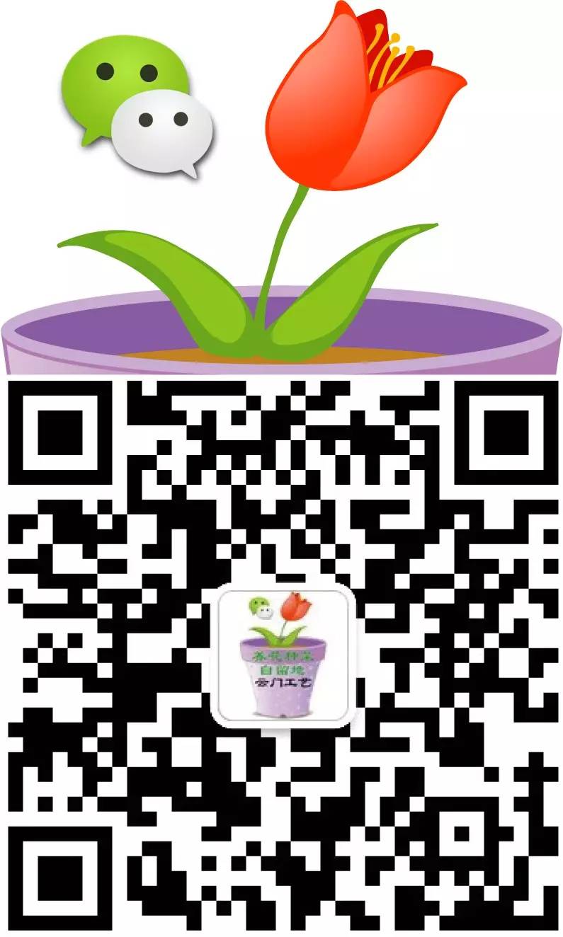 阳台如何种植富硒蔬菜呢（富硒蔬菜种植技术）-硒宝网