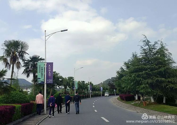 如何让人们买富硒蔬菜吃（富硒蔬菜水果）-硒宝网