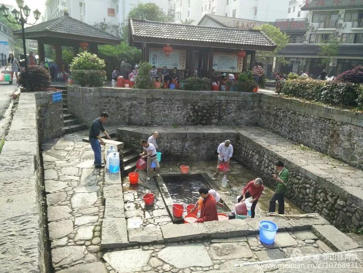 如何让人们买富硒蔬菜吃（富硒蔬菜水果）-硒宝网