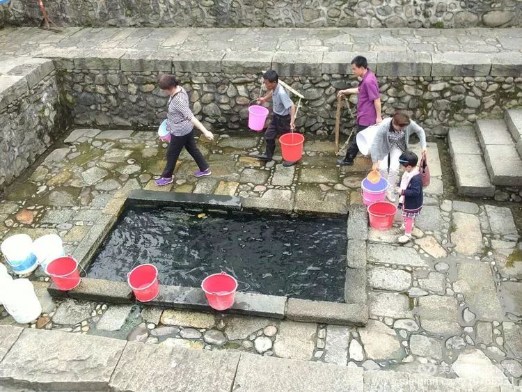 如何让人们买富硒蔬菜吃（富硒蔬菜水果）-硒宝网