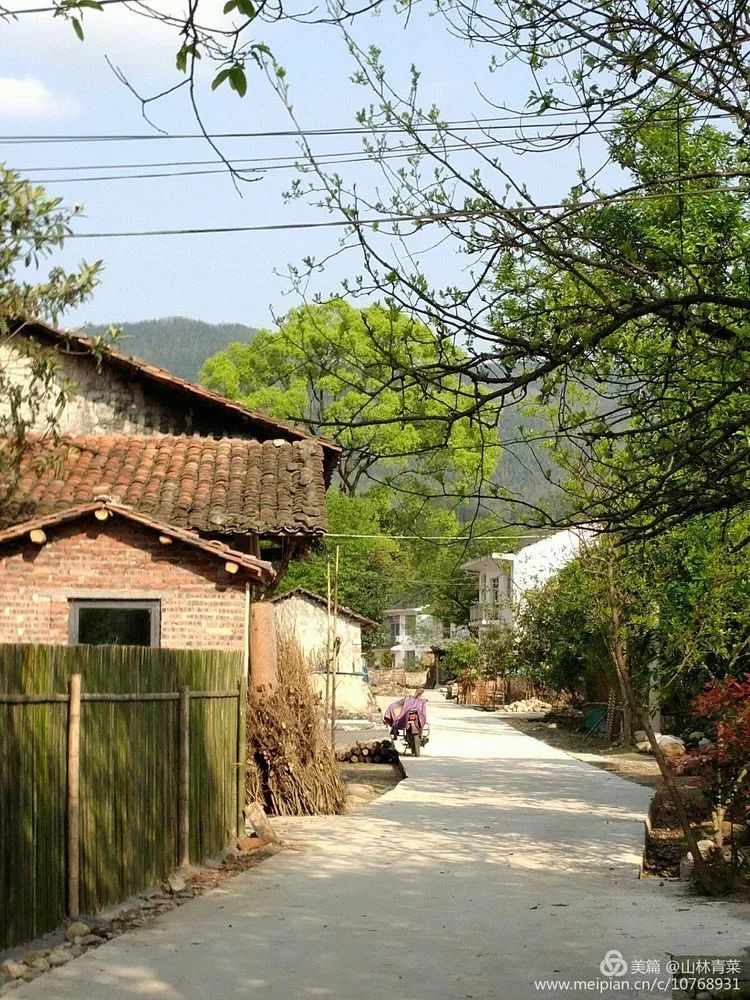 如何让人们买富硒蔬菜吃（富硒蔬菜水果）-硒宝网