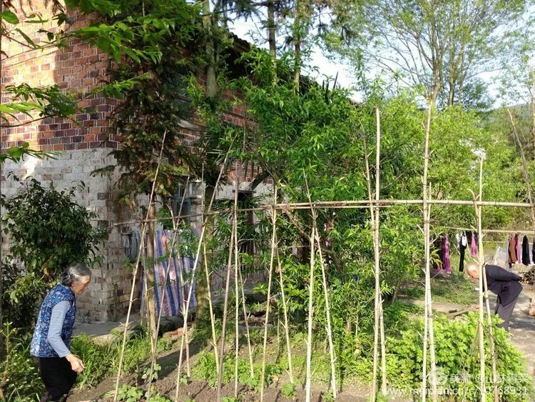 如何让人们买富硒蔬菜吃（富硒蔬菜水果）-硒宝网