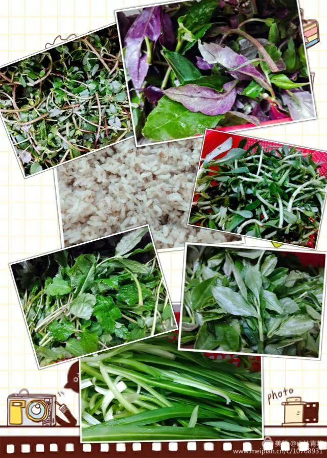 如何让人们买富硒蔬菜吃（富硒蔬菜水果）-硒宝网