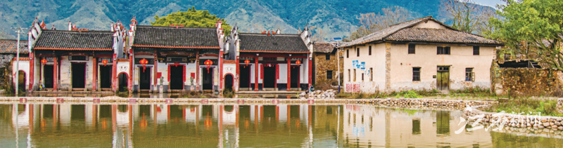 于都富硒蔬菜在哪里能买（富硒蔬菜价格比普通蔬菜）-硒宝网