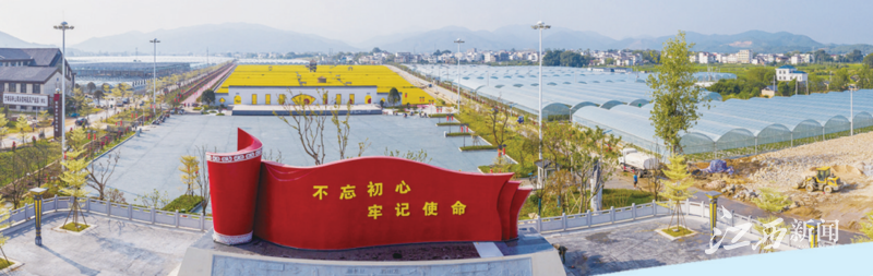 于都富硒蔬菜在哪里能买（富硒蔬菜价格比普通蔬菜）-硒宝网