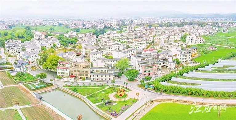 于都富硒蔬菜在哪里能买（富硒蔬菜价格比普通蔬菜）-硒宝网