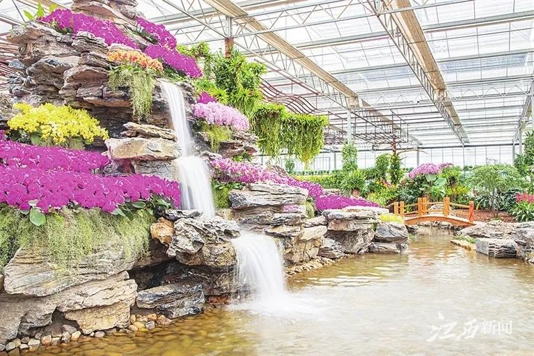 于都富硒蔬菜在哪里能买（富硒蔬菜价格比普通蔬菜）-硒宝网