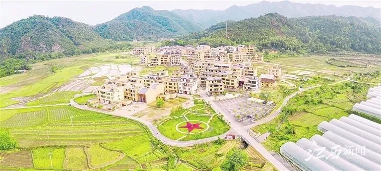 于都富硒蔬菜在哪里能买（富硒蔬菜价格比普通蔬菜）-硒宝网