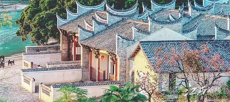 于都富硒蔬菜在哪里能买（富硒蔬菜价格比普通蔬菜）-硒宝网