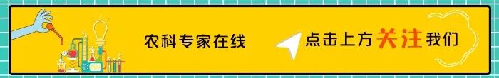 怎么让蔬菜富硒含量提高(蔬菜含量富硒提高让人变白吗)-硒宝网