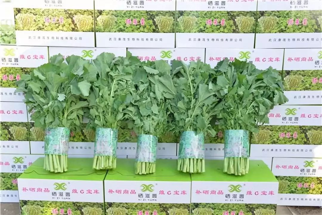 怎么让蔬菜富硒含量提高(蔬菜含量富硒提高让人变白吗)-硒宝网