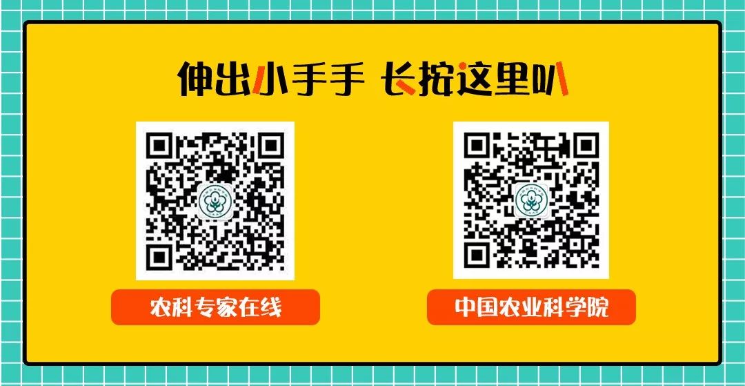 怎么让蔬菜富硒含量提高(蔬菜含量富硒提高让人变白吗)-硒宝网
