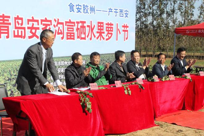 如何让人们买富硒蔬菜苗（苗蔬菜买富硒人们让买吗）-硒宝网