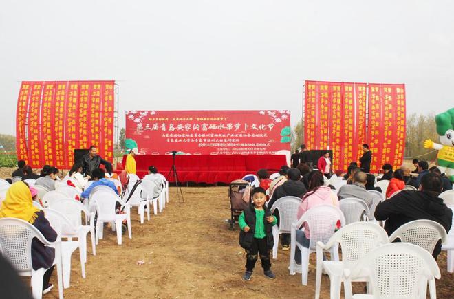 如何让人们买富硒蔬菜苗（苗蔬菜买富硒人们让买吗）-硒宝网