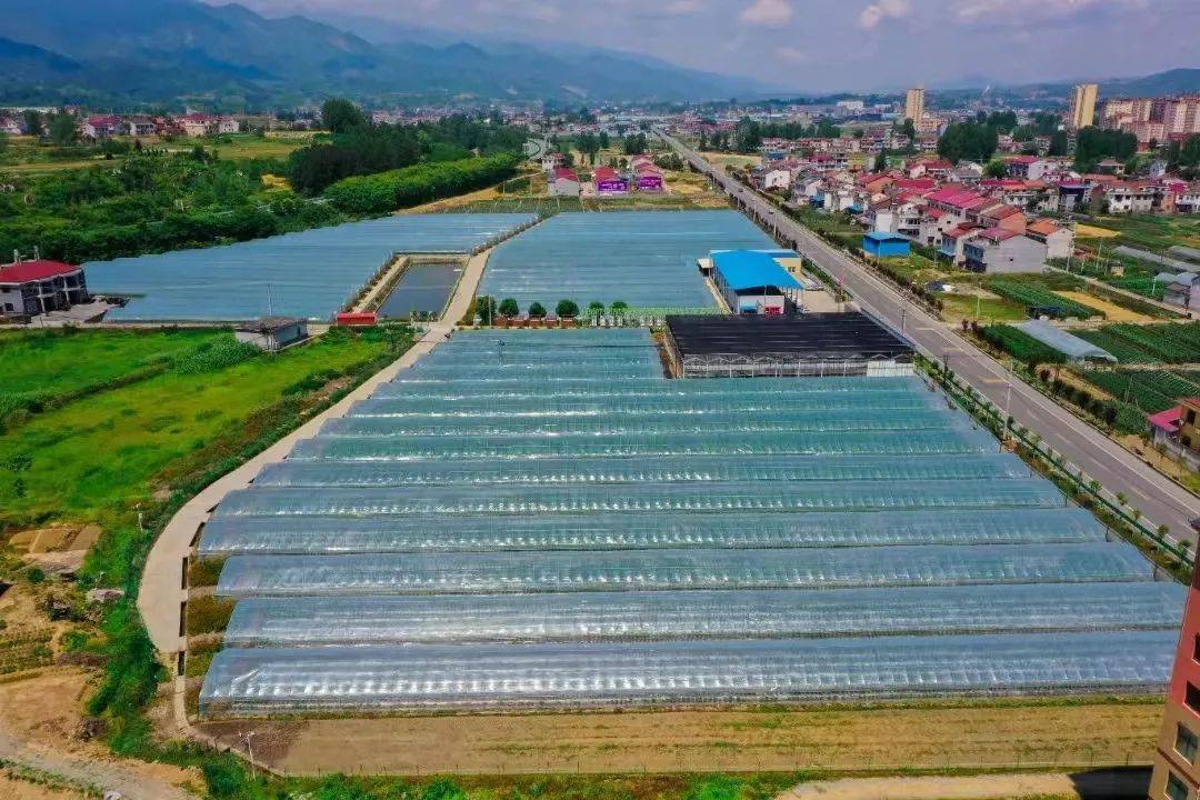 安康市富硒蔬菜品种研究(安康富硒食品有限公司)-硒宝网