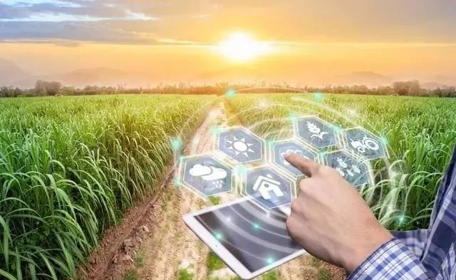 富硒蔬菜是需要什么设备(蔬菜设备富硒需要是农产品吗)-硒宝网