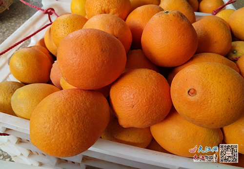 江西富硒蔬菜产业园股票(万亩富硒蔬菜基地)-硒宝网