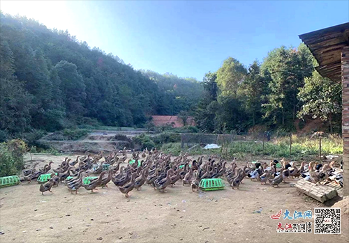 江西富硒蔬菜产业园股票(万亩富硒蔬菜基地)-硒宝网