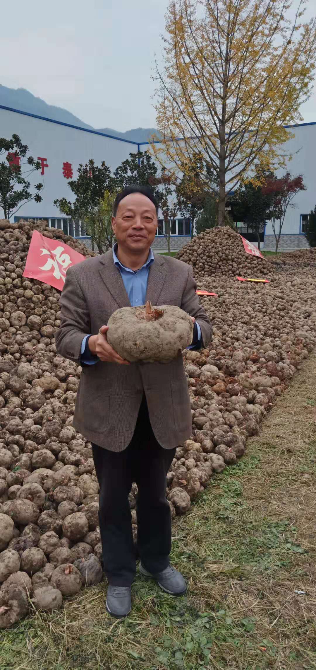 安康市富硒蔬菜品种研究(安康富硒农产品)-硒宝网