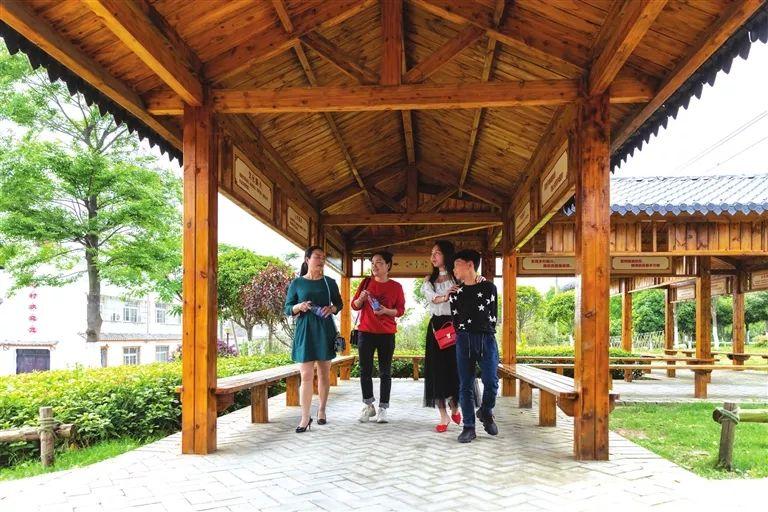 湖州富硒蔬菜基地在哪里(湖州蔬菜配送有限公司)-硒宝网