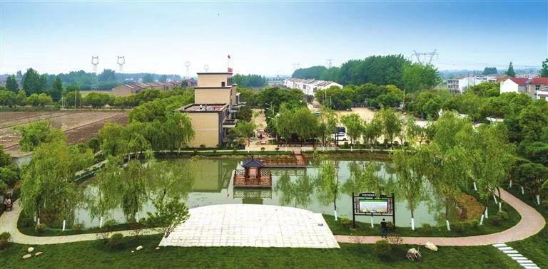 湖州富硒蔬菜基地在哪里(湖州蔬菜配送有限公司)-硒宝网