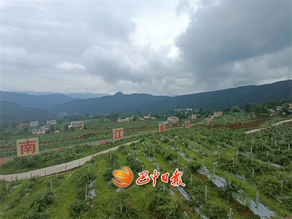 南江乡富硒蔬菜种植面积（富硒种植基地）-硒宝网