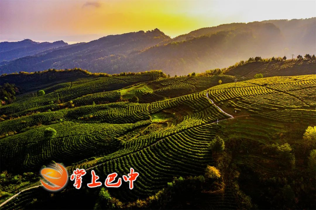 南江乡富硒蔬菜种植面积（富硒种植基地）-硒宝网