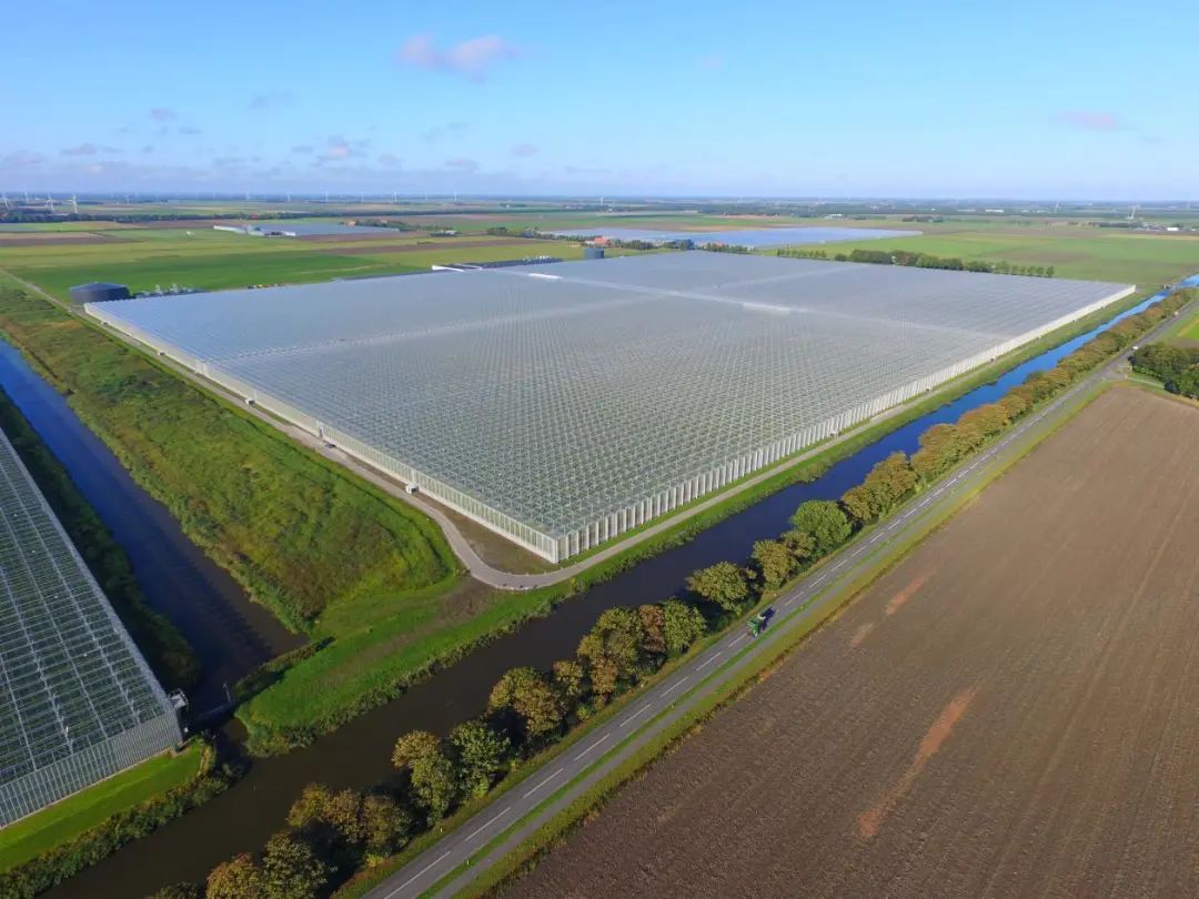 富硒蔬菜是需要什么设备(富硒蔬菜的国家标准值)-硒宝网