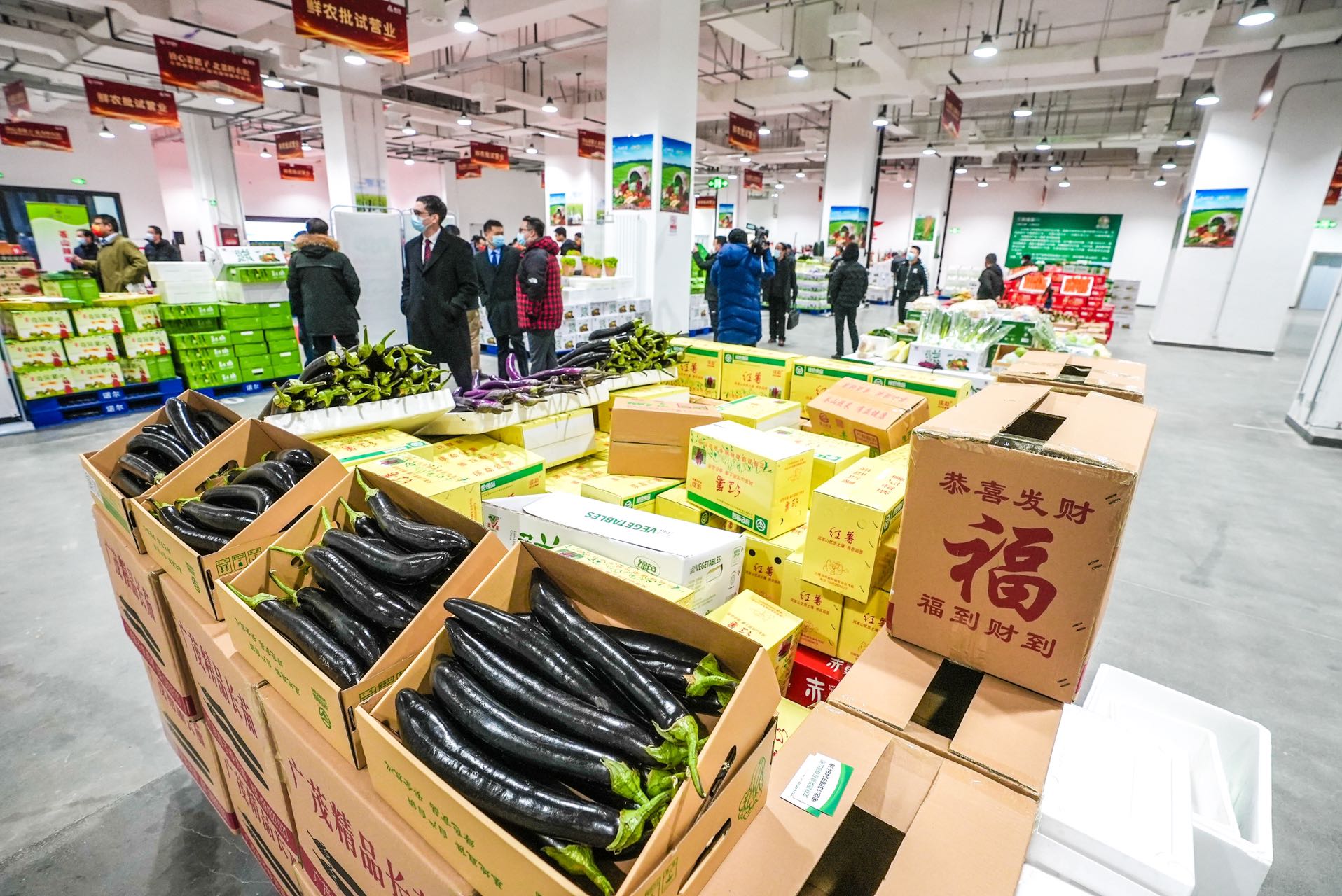 富硒蔬菜供应链管理公司(中国富硒蔬菜杂交)-硒宝网